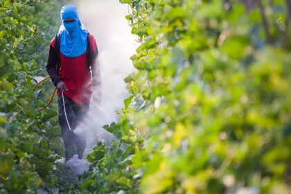 Pesticides in Clouds