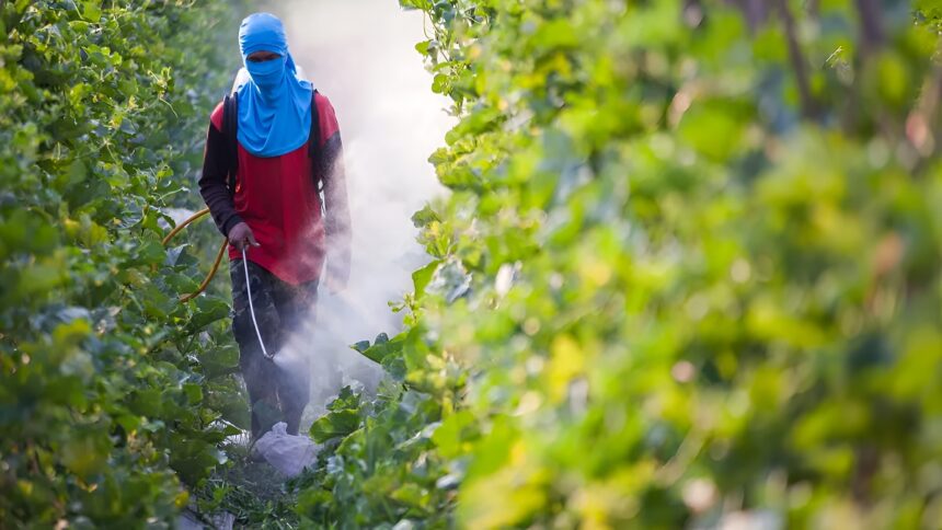Pesticides in Clouds