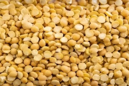 Pulses Import Duty
