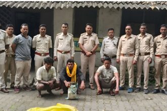 Raigarh Elephant Death Case