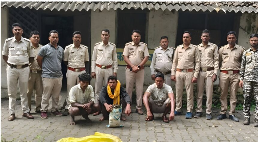 Raigarh Elephant Death Case