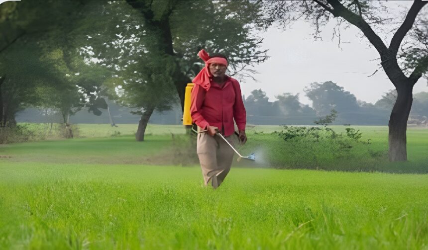 Rice Crop Disease Alert