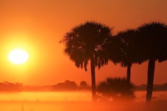 Solar Dimming in India