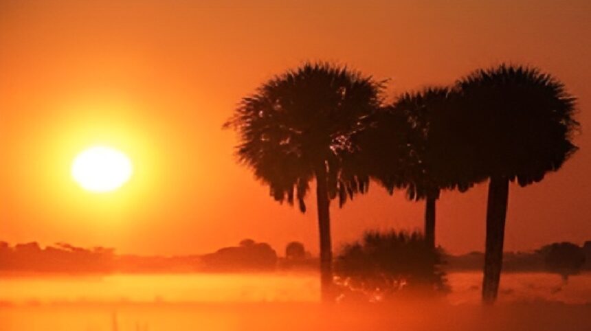 Solar Dimming in India