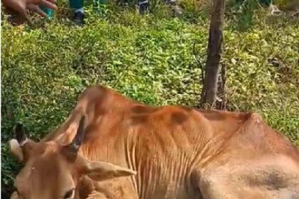 Toxic Water Incident