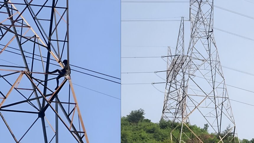 Youth Climbs Electric Tower