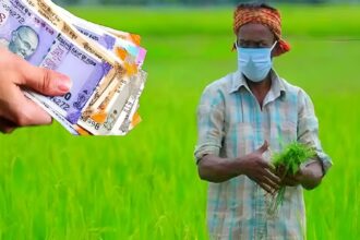 Zero Interest Crop Loan Scheme