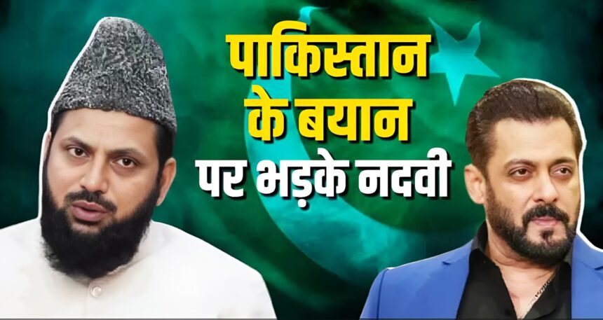 Salman Khan Pakistan Controversy