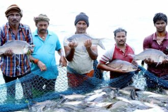NFDP Registration Portal for Fish Farmers
