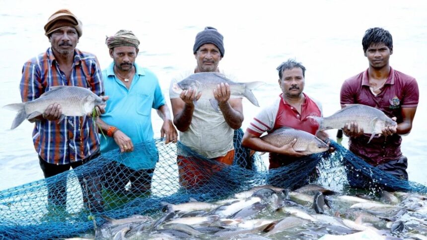 NFDP Registration Portal for Fish Farmers