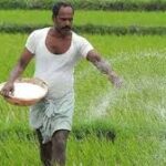 DAP Fertilizer Subsidy