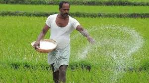 DAP Fertilizer Subsidy