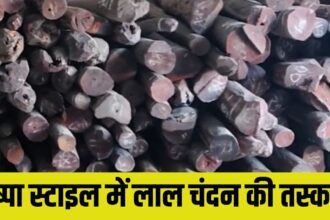 Red Sandalwood Smuggling