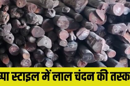 Red Sandalwood Smuggling
