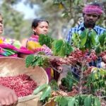 Bastar Horticulture Development New