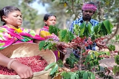 Bastar Horticulture Development New