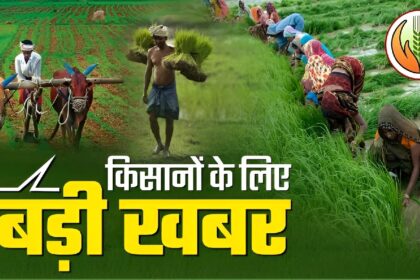 CG Kisan Portal Deadline