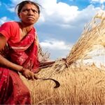 Chhattisgarh Crop Diversification 2025