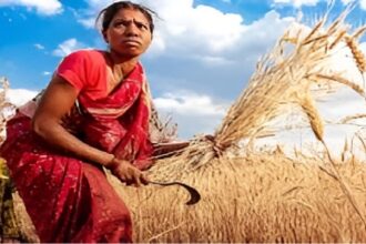 Chhattisgarh Crop Diversification 2025