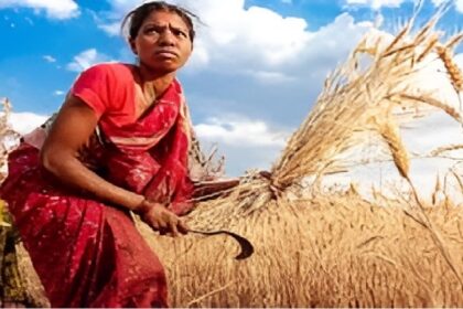 Chhattisgarh Crop Diversification 2025