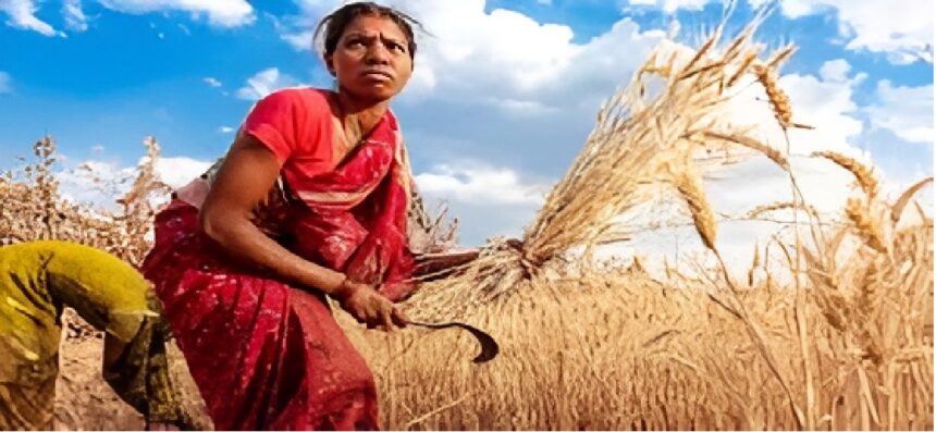 Chhattisgarh Crop Diversification 2025