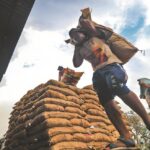 Chhattisgarh Labour Scheme Update