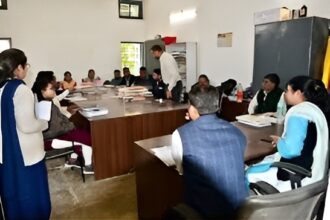 Collector Inspection