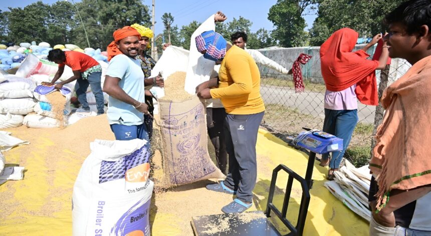 Committee Managers Strike