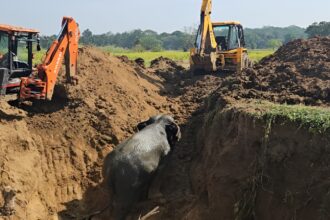 Elephant Rescue Operation