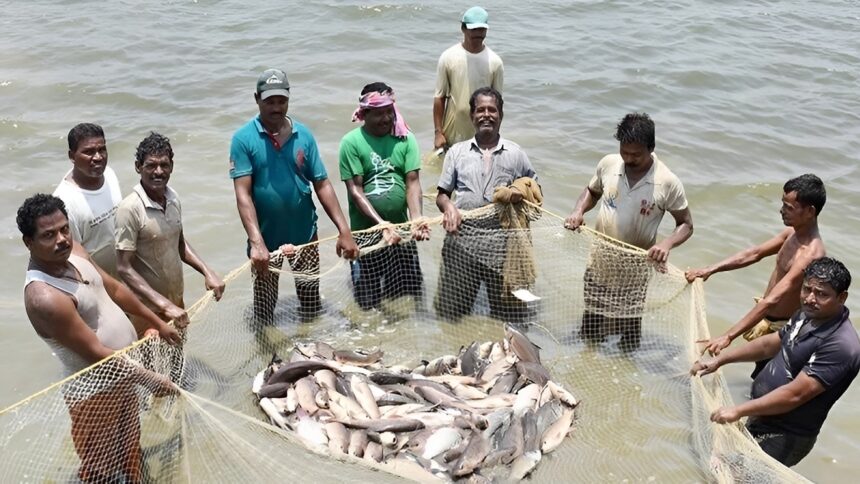 Fish Production Chhattisgarh