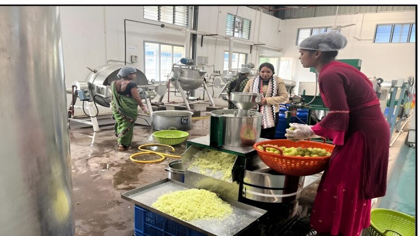 Forest Processing Unit