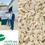 Fortified Rice Export Chhattisgarh