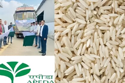 Fortified Rice Export Chhattisgarh