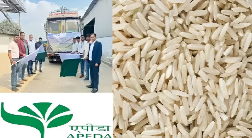 Fortified Rice Export Chhattisgarh