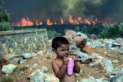 Global Temperature Rise Report