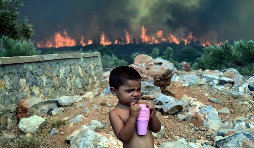 Global Temperature Rise Report