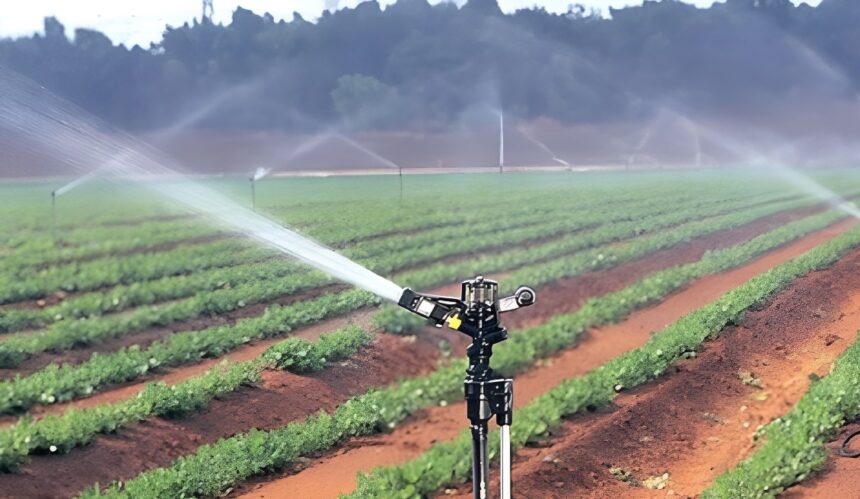 Irrigation Development Project