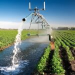 Irrigation Projects Chhattisgarh