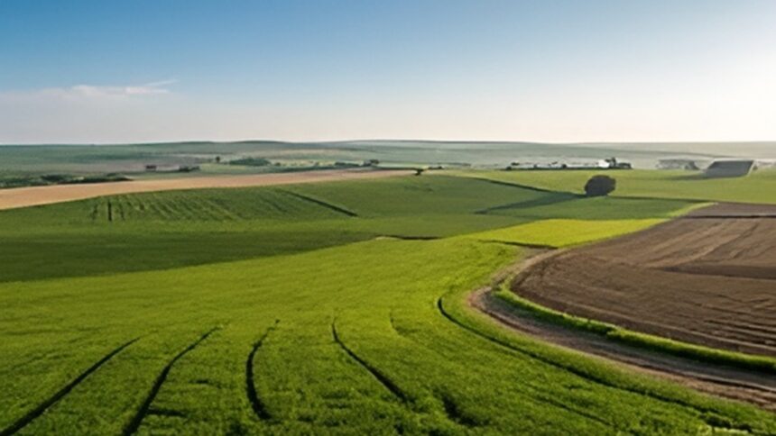 Land Valuation Update CG