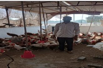 MGNREGA Poultry Shed