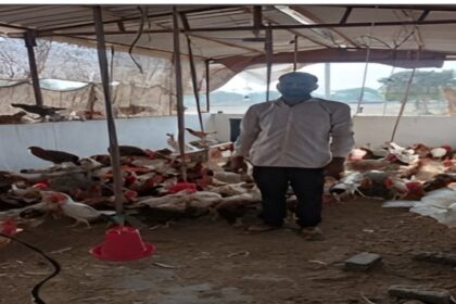 MGNREGA Poultry Shed