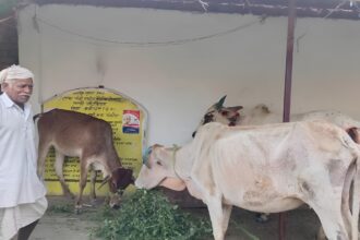 MNREGA Organic Farming Success Chhattisgarh