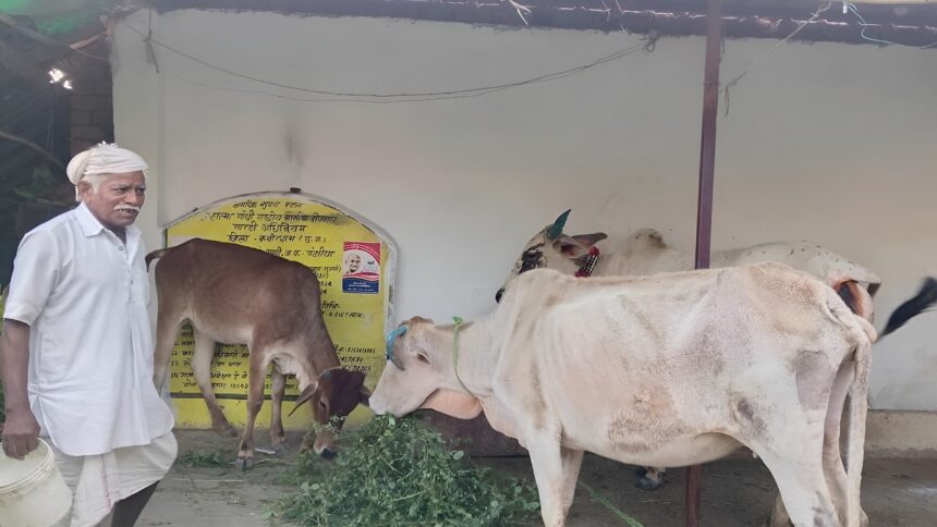 MNREGA Organic Farming Success Chhattisgarh