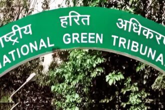 NGT Asbestos Sheet Case