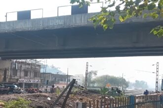 Overbridge Jump Incident