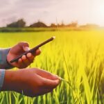 PV App Farmer Verification