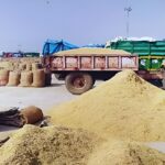 Illegal Paddy Storage