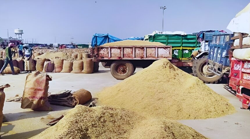 Illegal Paddy Storage