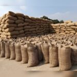 Paddy Smuggling Chhattisgarh