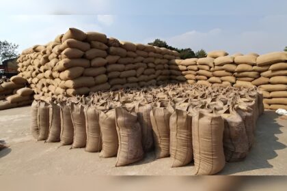 Illegal Paddy Storage Action